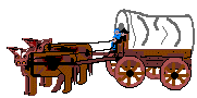 Covered Wagon